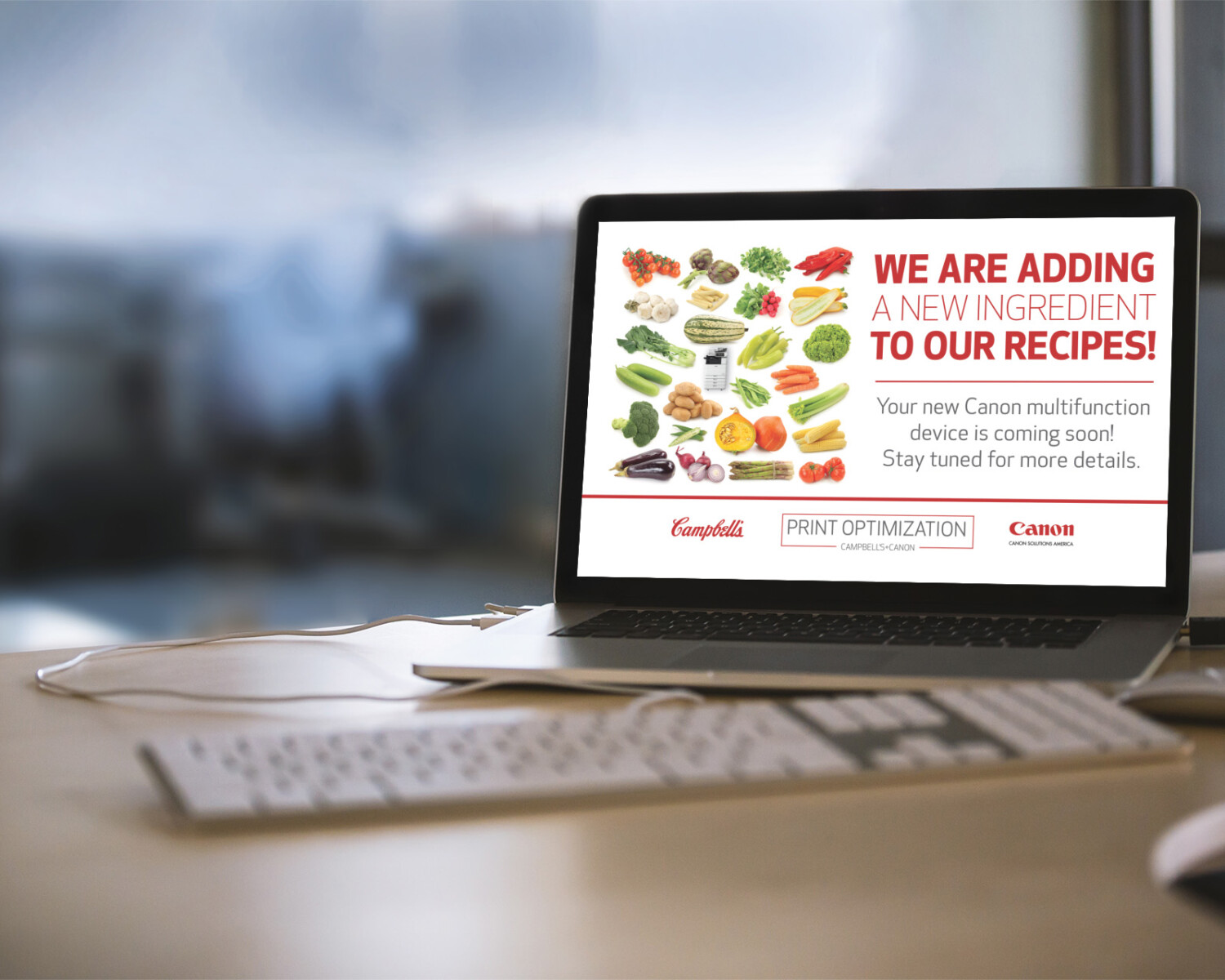 Campbell's Print Program Campaign — Change Management