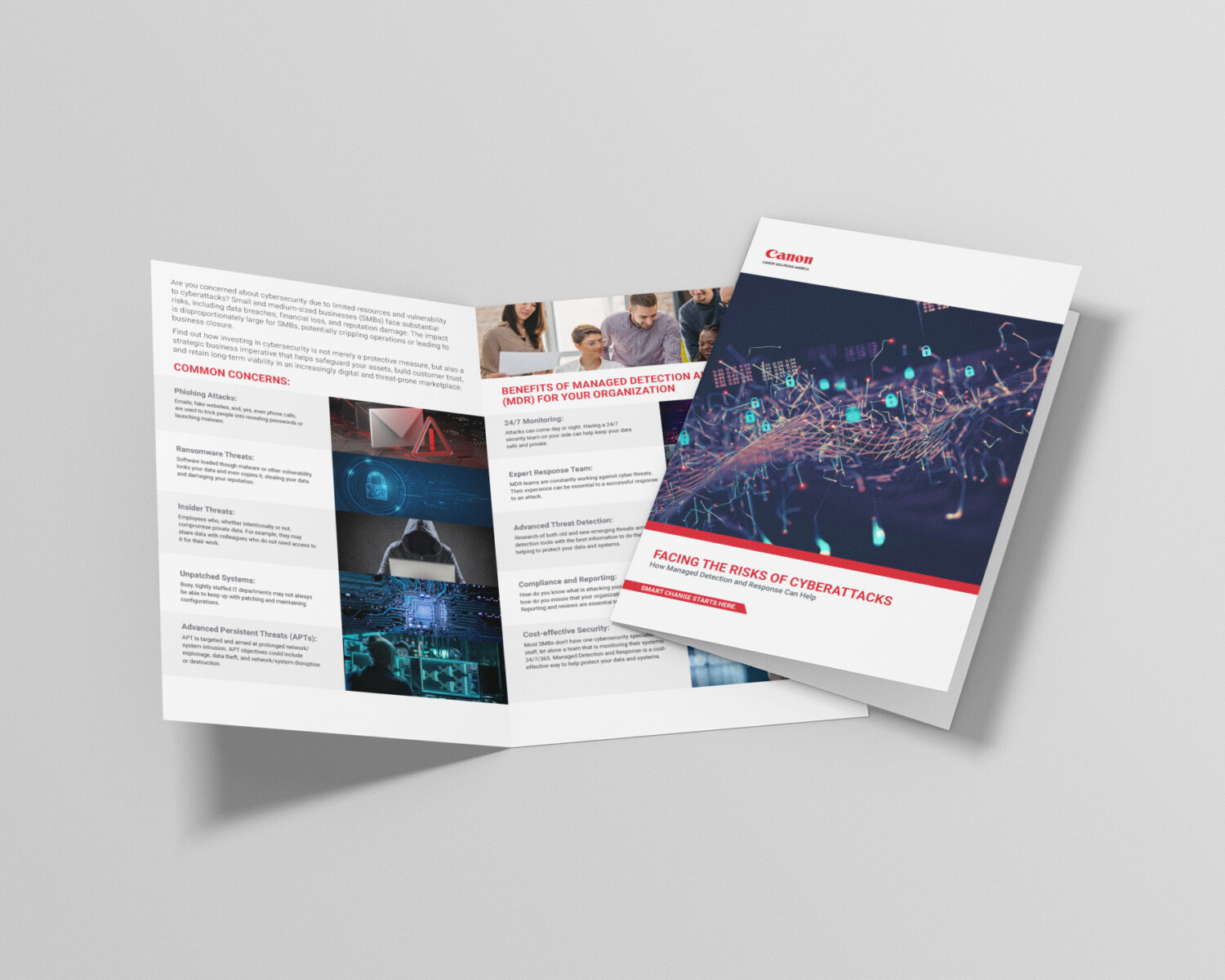 Canon Flyers — Sales Collateral